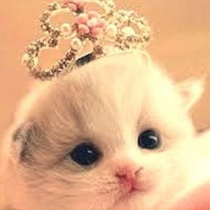 Meet your Posher, Brookie